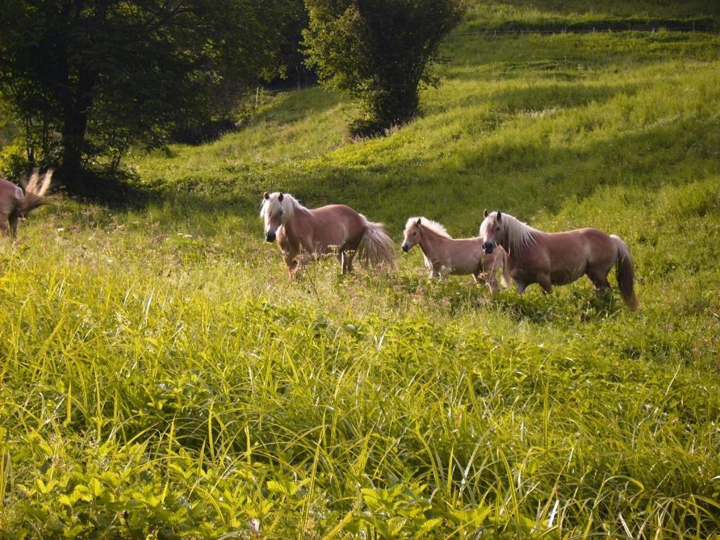 Ferienhaus Aussergraben Ultimo Exteriör bild